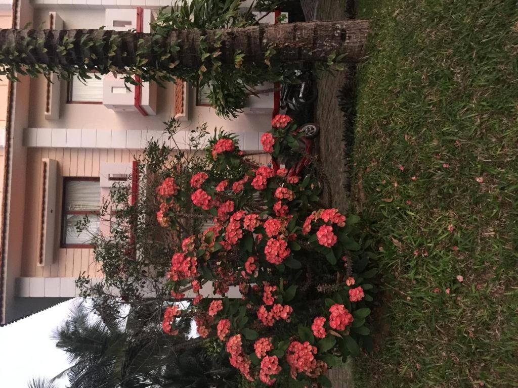 Non Nuoc Resort Mui Ne Bagian luar foto